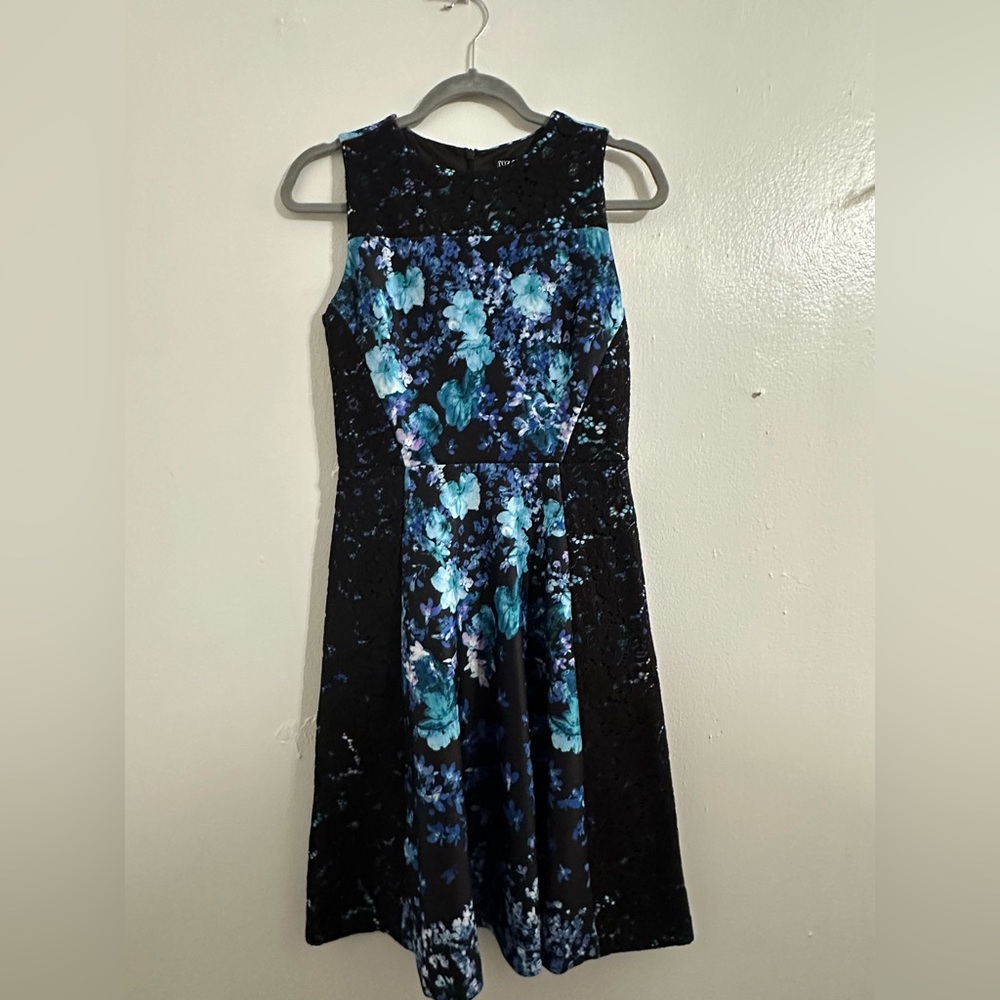 Black & Blue Dress